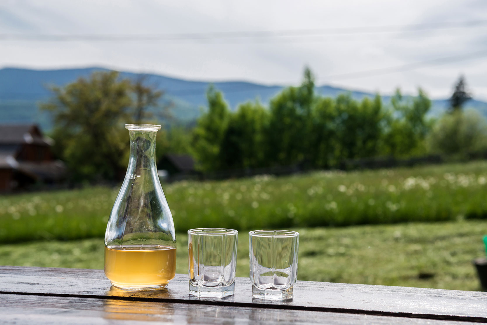 Norwegian Farmhouse Inspired Mead by Kevin Meintsma